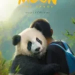 moon-the-panda moon-the-panda